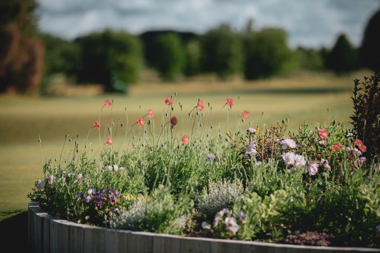 Gumbalde Resort Stånga Eksteriør bilde